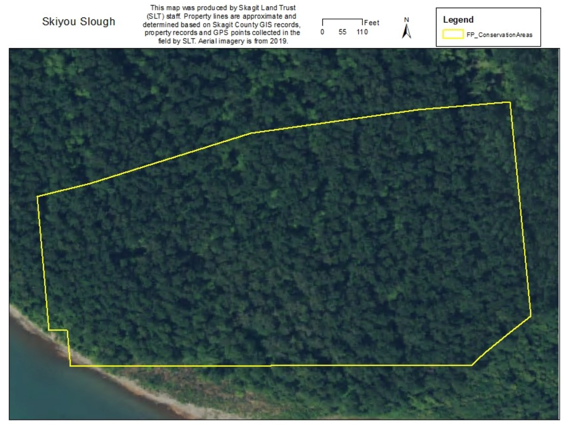 Skiyou Slough Property Skagit Land Trust